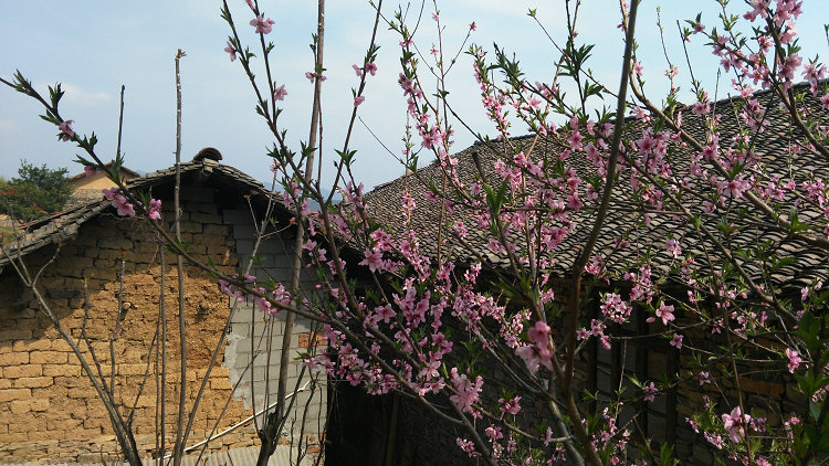 翟家岭古村落，宜昌远安旅游翟家岭简介